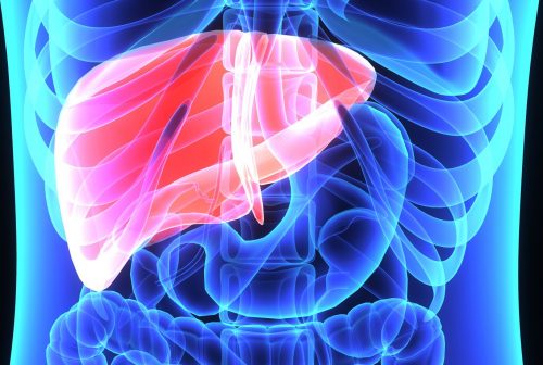 33982513 - liver